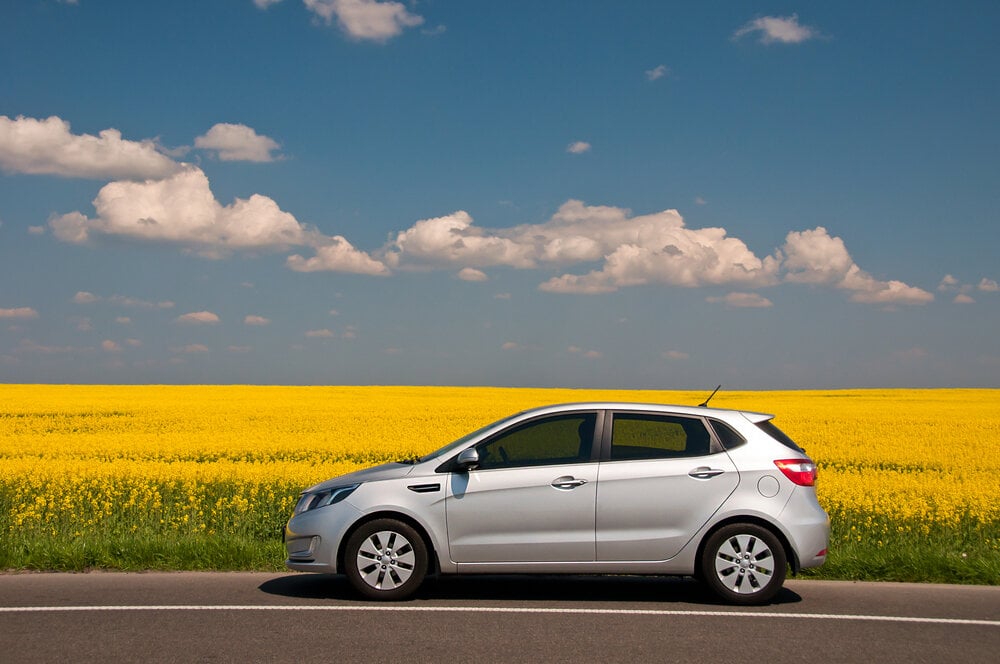 Kia Rio in front of a canola crop