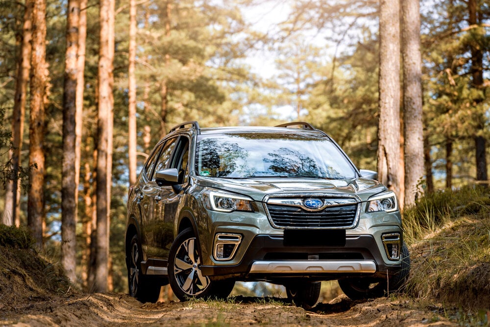 Subaru Forester e Boxer outdoors on a dirt road.