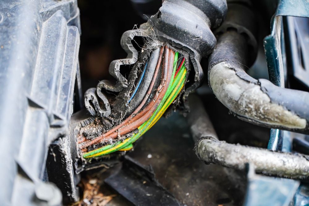 Damaged wiring in a car's engine bay