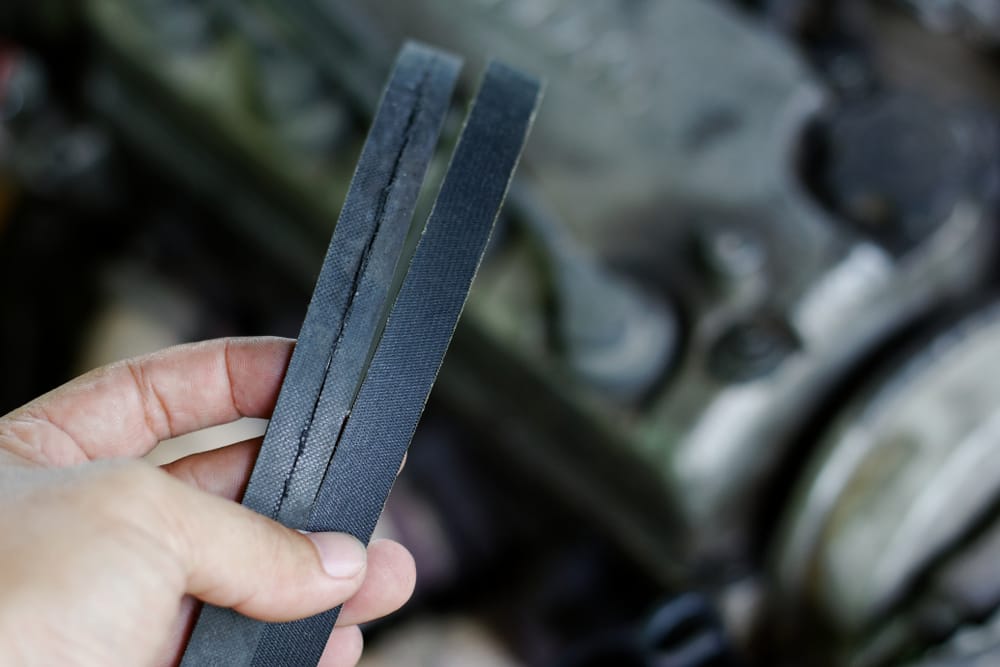 damaged_serpentine_belt_in_hand_shutterstock_1502634581