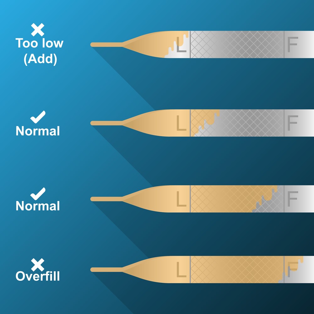 Engine Dipstick Guide