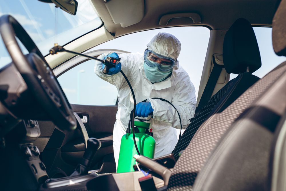 Fumigating a car against cockroaches can be effective.