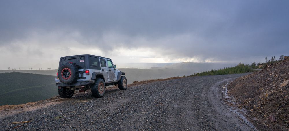 Jeep Wrangler on a forestry road