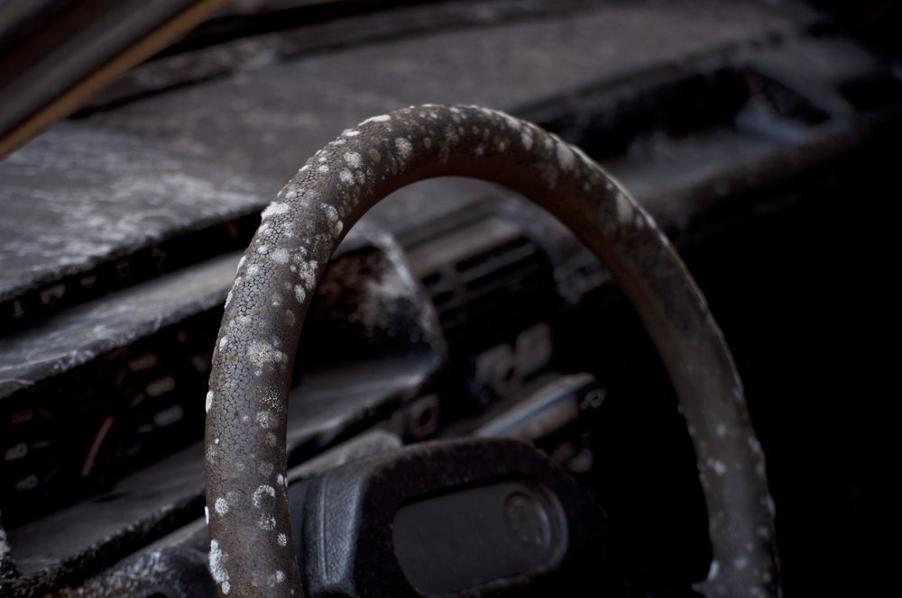 mold_on_steering_wheel_shutterstock_228623587