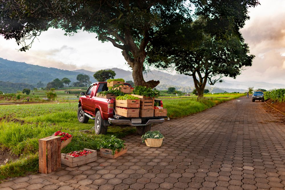 pickup_truck_filled_with_fruit_shutterstock_1738450466
