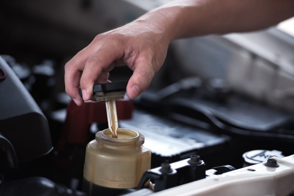 A dipstick indicates the required fluid level in the power steering fluid reservoir.