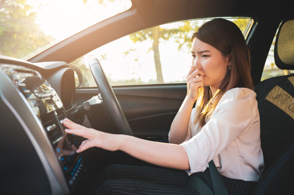 Lady in smelly car