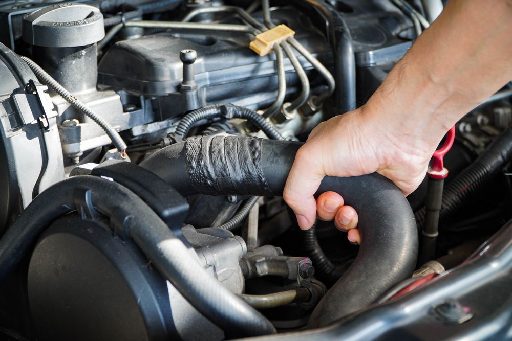 Technician inspecting coolant hose