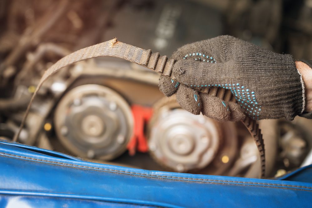 Timing Belt damaged and near breaking