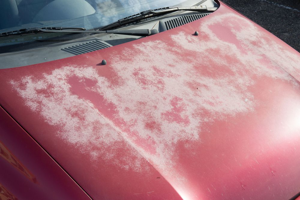 Car hood paint damaged by UV rays.